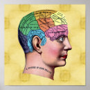 Pesquisar por anatomia interna pôsteres pósteres Médico