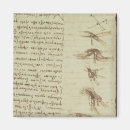 Pesquisar por leonardo imas 16o