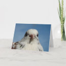 Pesquisar por pretty bird cartoes Photography