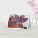 Pesquisar por fantasma bonito cartoes Qualquer pessoa