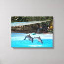 Pesquisar por golfinhos impressão de canvas Animais