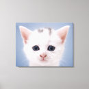 Pesquisar por olhos azuis impressão de canvas Animal