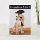 Pesquisar por diploma de formatura cartoes Cão