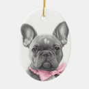 Pesquisar por frenchies casa presentes Cão