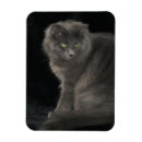 Pesquisar por gato azul russo cozinha jantar Fofofo