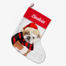 Pesquisar por inglês meias de natal Animais