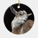 Pesquisar por christmas goat ornamentos Cabra