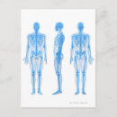 Pesquisar por medicina cartoes postais Arte