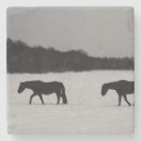 Pesquisar por cavalo branco porta copos Neve