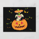 Pesquisar por looney tunes convites Sylvester