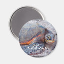 Pesquisar por honu imas Hawaii