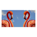Pesquisar por flamingo pósteres Animal