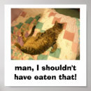 Pesquisar por imagens engraçadas pôsteres pósteres Humor