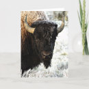 Pesquisar por yellowstone cartoes Bison