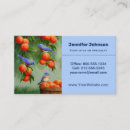 Pesquisar por pássaro azul cartao de visita Vida selvagem