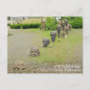 Pesquisar por dinamarca cartoes cartoes postais Escandinávia