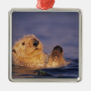 Pesquisar por lontra ornamentos Vida selvagem