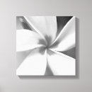 Pesquisar por abstrato preto e branco impressão de canvas Botânico