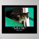 Pesquisar por housecat Gatinho