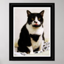 Pesquisar por gato mal humorado pôsteres pósteres Felino