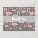 Pesquisar por flamingo cartoes postais Flamingos rosa