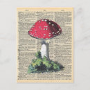 Pesquisar por fairy cartoes postais Gnomo