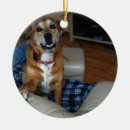 Pesquisar por doggy ornamentos Feriado