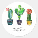 Pesquisar por mexicano do cacto adesivos Suculento