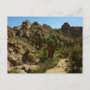 Pesquisar por deserto de palma cartoes postais Natureza