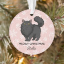 Pesquisar por gato preto ornamentos Para ela
