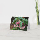 Pesquisar por asas do anjo cartoes Para ela