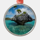 Pesquisar por fiji ornamentos Azul