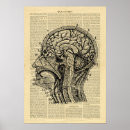 Pesquisar por cérebro humano pôsteres pósteres Gráfico