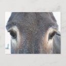 Pesquisar por burro cartoes postais Cinza