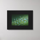 Pesquisar por gotas água de impressão de canvas Natureza