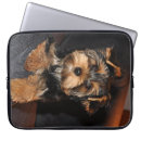 Pesquisar por filhote cachorro yorkshire terrier eletronicos Adorável