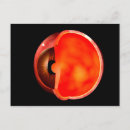 Pesquisar por oftalmologia cartoes postais Olhos