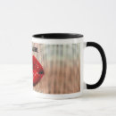 Pesquisar por sensual canecas Boca