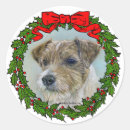Pesquisar por natal cão adesivos Cachorros