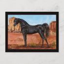 Pesquisar por cavalo árabe cartoes postais Animal