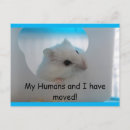 Pesquisar por hamster cartoes postais Exclusivo
