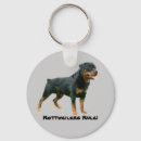 Pesquisar por o rottweiler chaveiros Rottie