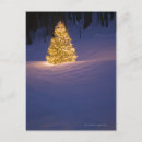 Pesquisar por christmas tree cartoes postais Season