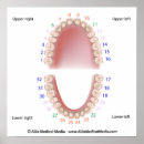 Pesquisar por odontologia pôsteres pósteres Cuidados dentários