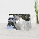 Pesquisar por lobo branco cartoes Canino