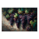 Pesquisar por fruta roxa pôsteres pósteres Vinha