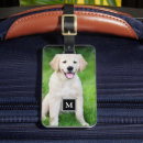 Pesquisar por imagem do cão bagagem tags Foto