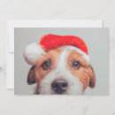 Pesquisar por animais domésticos cartoes Cachorrinho