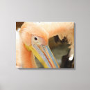 Pesquisar por vendas impressão de canvas Pelicano engraçado