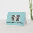 Pesquisar por golden retriever puppy cartoes Animals